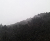 霧のかかった山