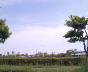 広島空港線